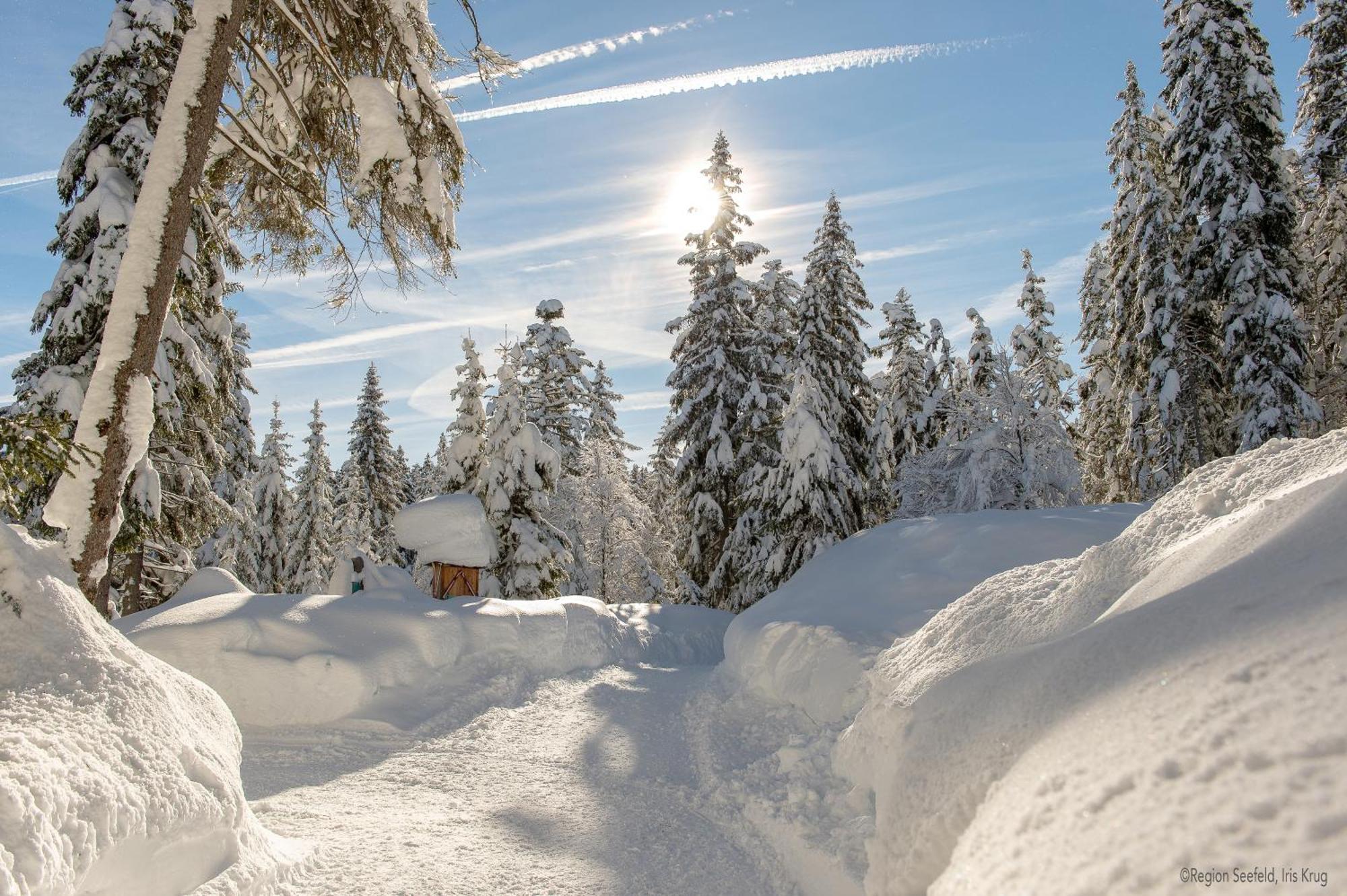 Sissi'S Green Chalets Лойташ Экстерьер фото